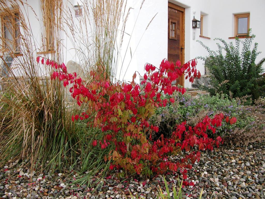 Panorama Villa Victoria Hopfgarten im Brixental Extérieur photo